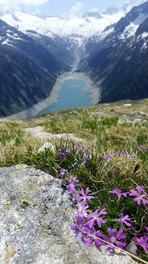 Hotel Pension Eichenhof Ried im Zillertal Exteriér fotografie