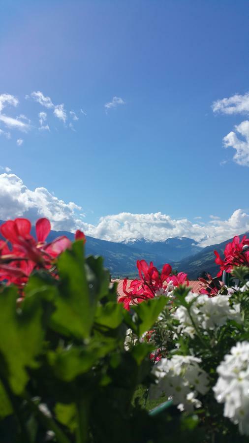 Hotel Pension Eichenhof Ried im Zillertal Exteriér fotografie